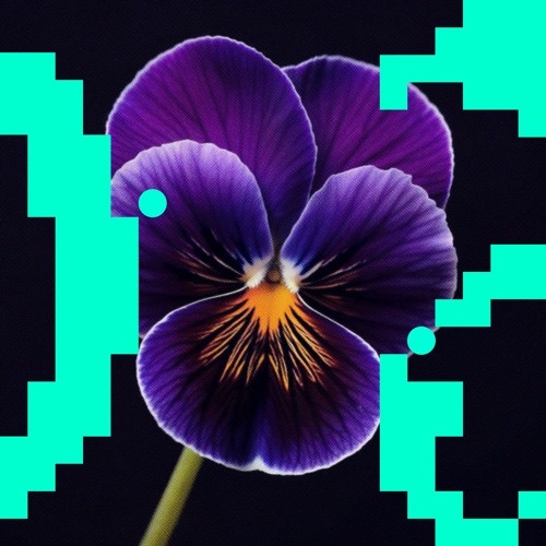 Budakid - Movin' On + A.C.D. Cover Art